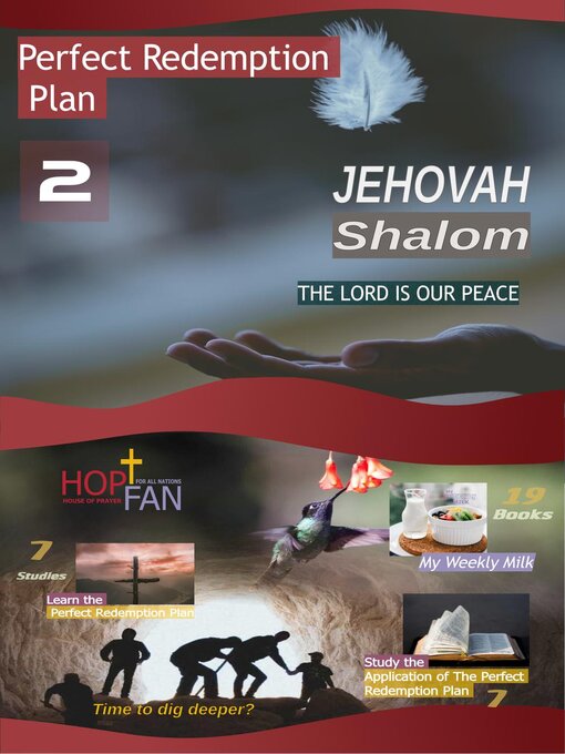 Title details for Perfect Redemption Plan 2 by Gery Malanda - Available